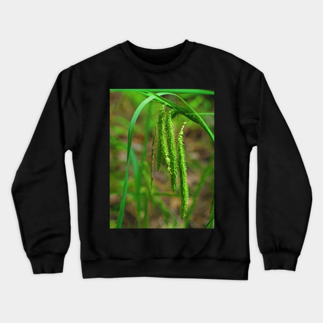 Harvest Crewneck Sweatshirt by EileenMcVey